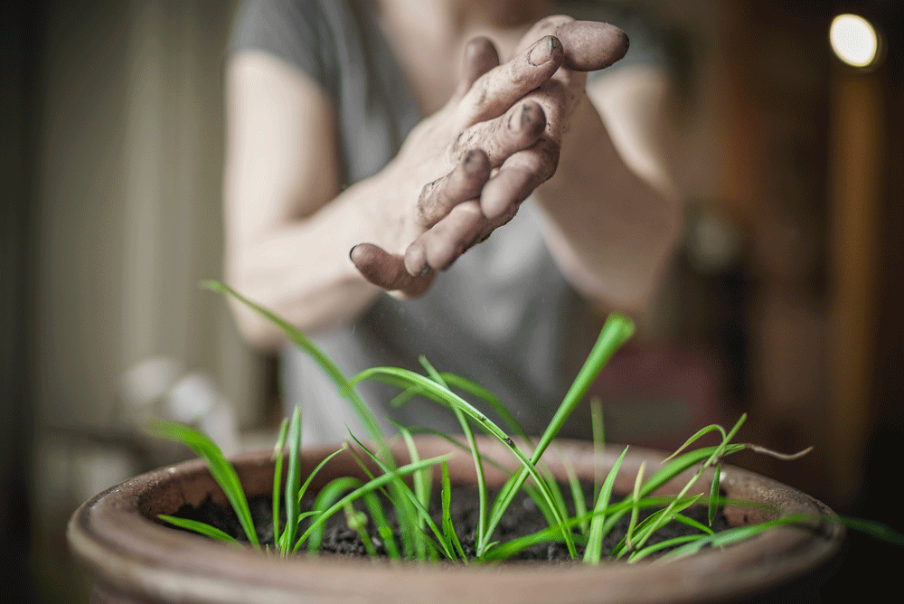 Earth Day 2015!