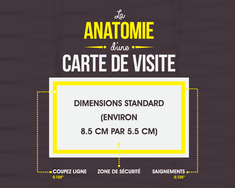 [French Version] La Anatomie D'une Carte De Visite