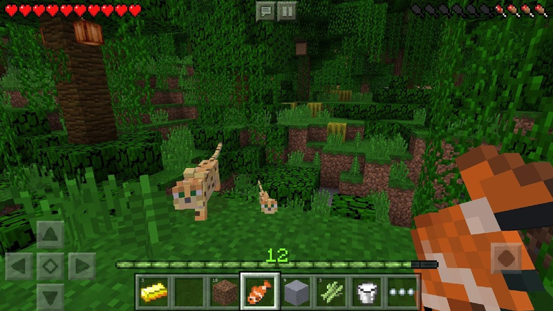 Minecraft app