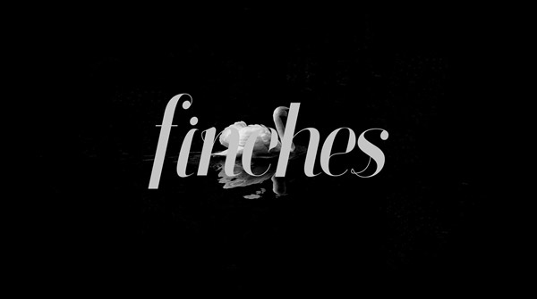 Finches Font