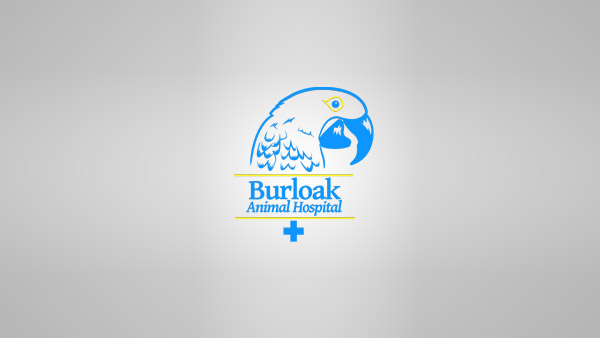 Animal Logo 16