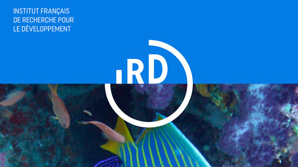 Research Logo 3 Research Logo 3