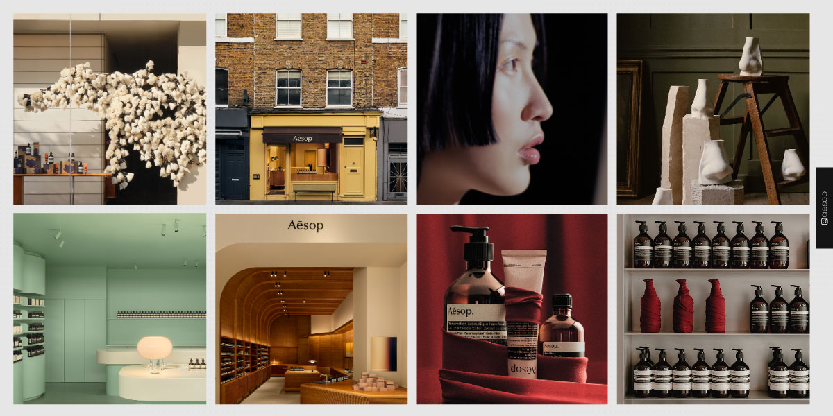 Aesop