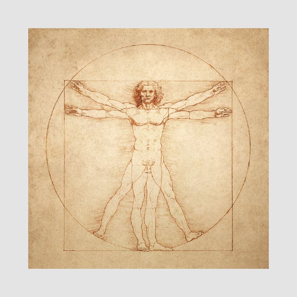 Vitruvian Man