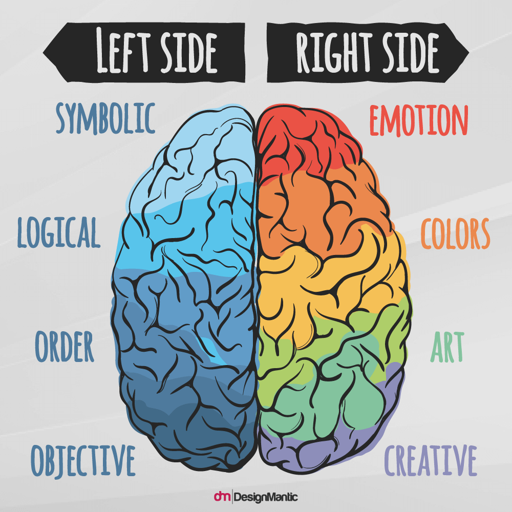left brain right brain emotions infographic