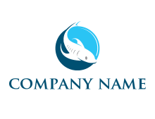 negative spacing dolphin in circle logo
