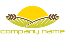 abstract leaves with plant in front of sun logo