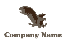 bird wings logo software