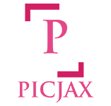 letter P inside frame with camera focus logo