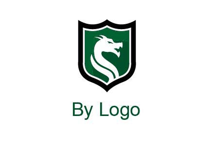 dragon in shield logo