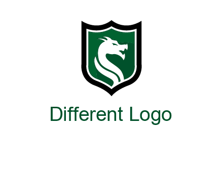 dragon in shield logo
