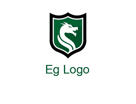 dragon in shield logo