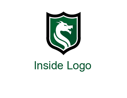 dragon in shield logo