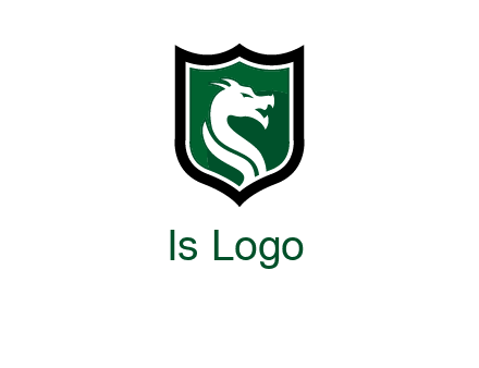 dragon in shield logo