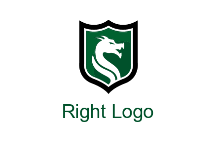 dragon in shield logo
