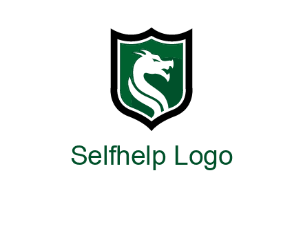 dragon in shield logo