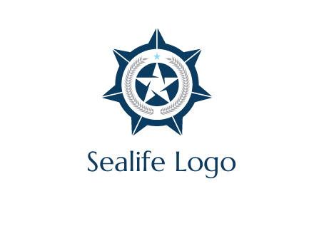 stars in circle logo
