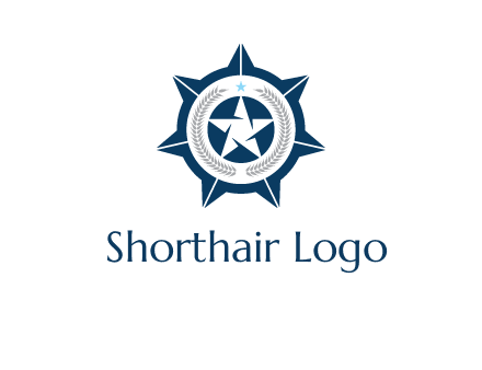 stars in circle logo