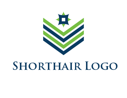 security badge logo