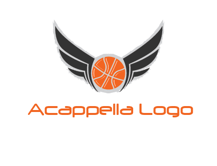 basketball with wings logo