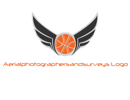basketball with wings logo