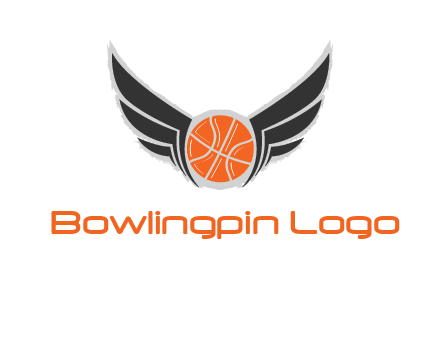 basketball with wings logo