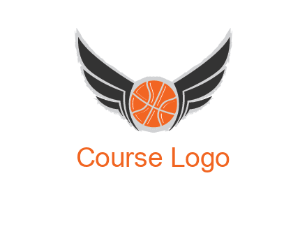 basketball with wings logo