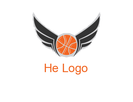 basketball with wings logo