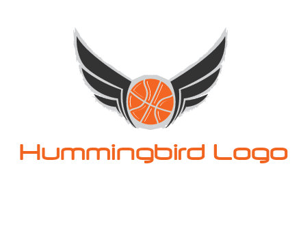 basketball with wings logo