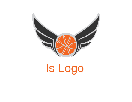 basketball with wings logo