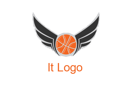 basketball with wings logo