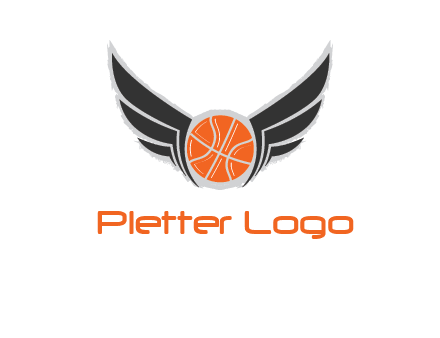 basketball with wings logo