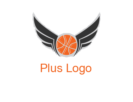 basketball with wings logo