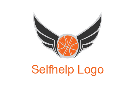 basketball with wings logo