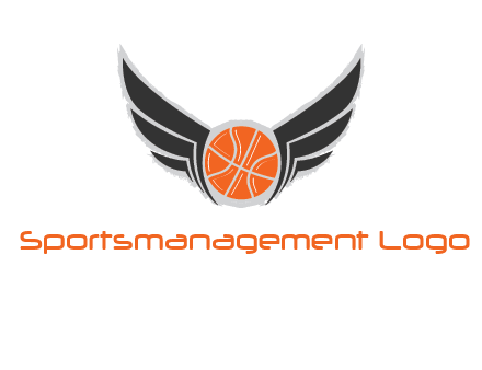 basketball with wings logo