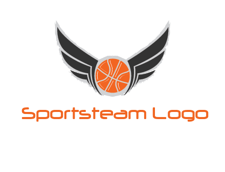 basketball with wings logo