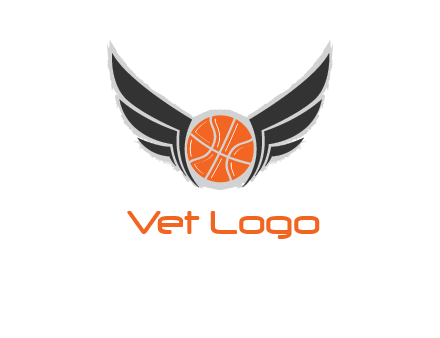 basketball with wings logo