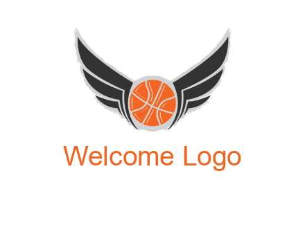 basketball with wings logo