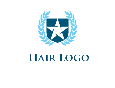 star in shield logo