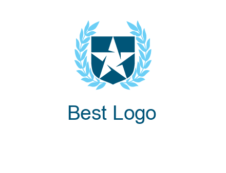 star in shield logo
