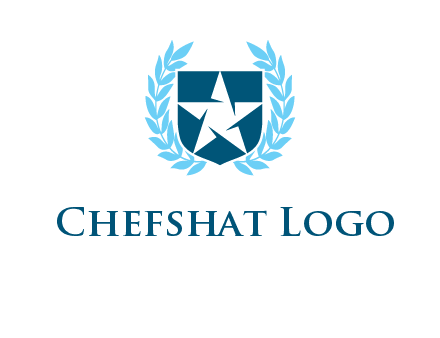 star in shield logo