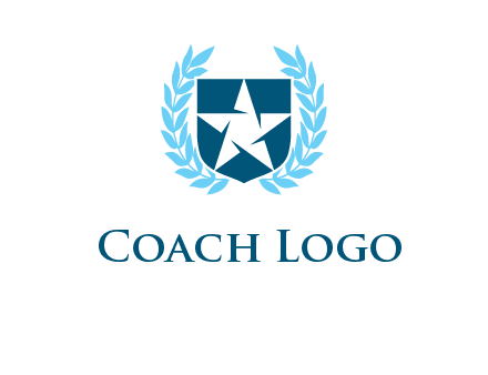 star in shield logo