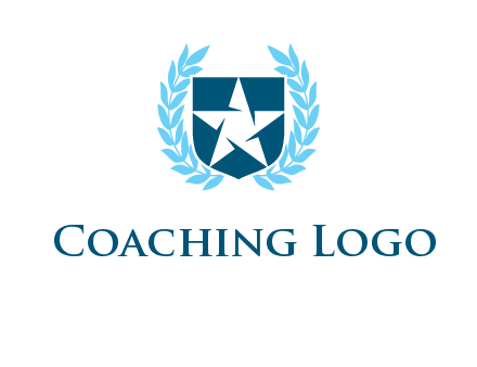 star in shield logo