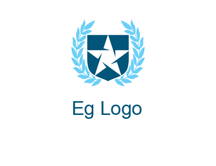 star in shield logo