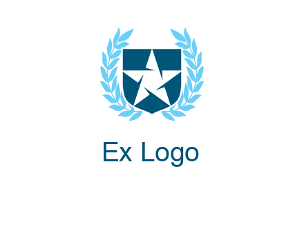 star in shield logo
