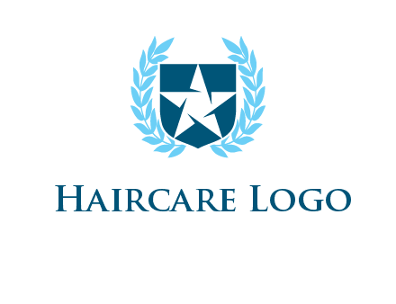 star in shield logo