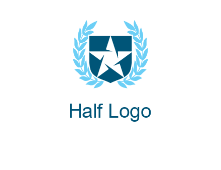 star in shield logo