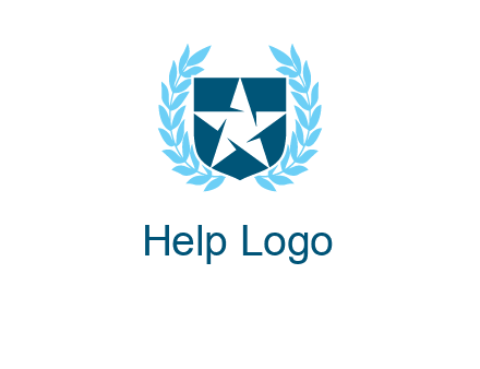 star in shield logo