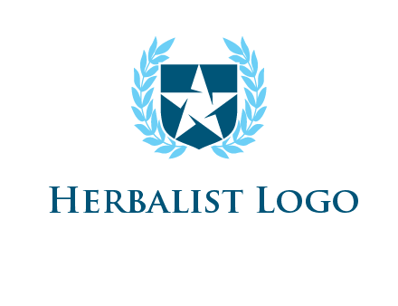 star in shield logo