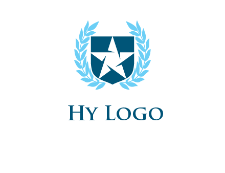 star in shield logo